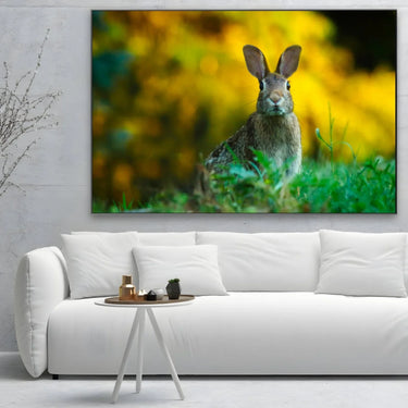 Quadro Stampa su Tela Sovrano dei Prati - CupidoDesign