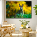 Quadro Stampa su Tela Sovrano dei Prati - CupidoDesign