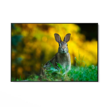 Quadro Stampa su Tela Sovrano dei Prati - CupidoDesign