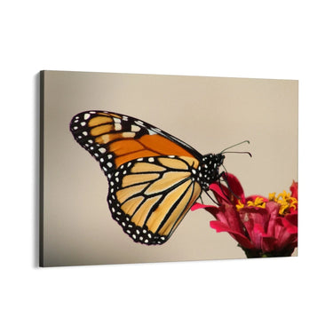 Quadro Stampa su Tela Spirito Alato - CupidoDesign