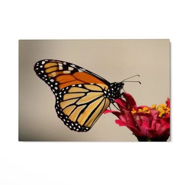 Quadro Stampa su Tela Spirito Alato - CupidoDesign