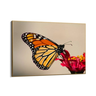 Quadro Stampa su Tela Spirito Alato - CupidoDesign