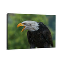 Quadro Stampa su Tela Sussurri d'Altura - CupidoDesign