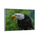 Quadro Stampa su Tela Sussurri d'Altura - CupidoDesign