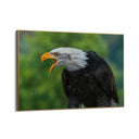 Quadro Stampa su Tela Sussurri d'Altura - CupidoDesign