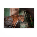Quadro Stampa su Tela Sussurri del Predatore - CupidoDesign