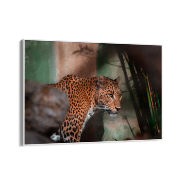 Quadro Stampa su Tela Sussurri del Predatore - CupidoDesign