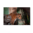 Quadro Stampa su Tela Sussurri del Predatore - CupidoDesign