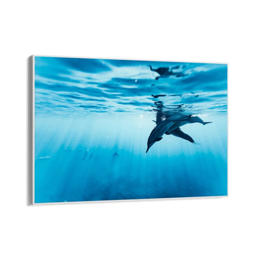 Quadro Stampa su Tela Sussurri della Corrente - CupidoDesign