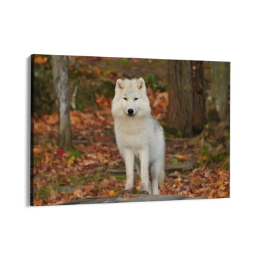 Quadro Stampa su Tela Sussurri nella Tundra - CupidoDesign