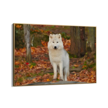 Quadro Stampa su Tela Sussurri nella Tundra - CupidoDesign