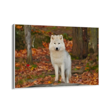 Quadro Stampa su Tela Sussurri nella Tundra - CupidoDesign