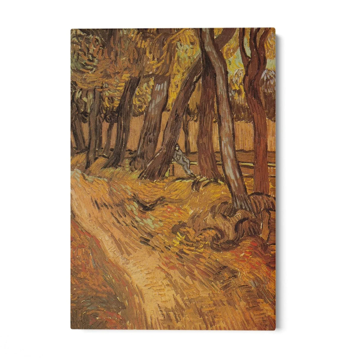 Quadro Stampa su Tela The garden of the hospital Saint Paul with figure, Vincent Van Gogh - CupidoDesign