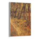 Quadro Stampa su Tela The garden of the hospital Saint Paul with figure, Vincent Van Gogh - CupidoDesign