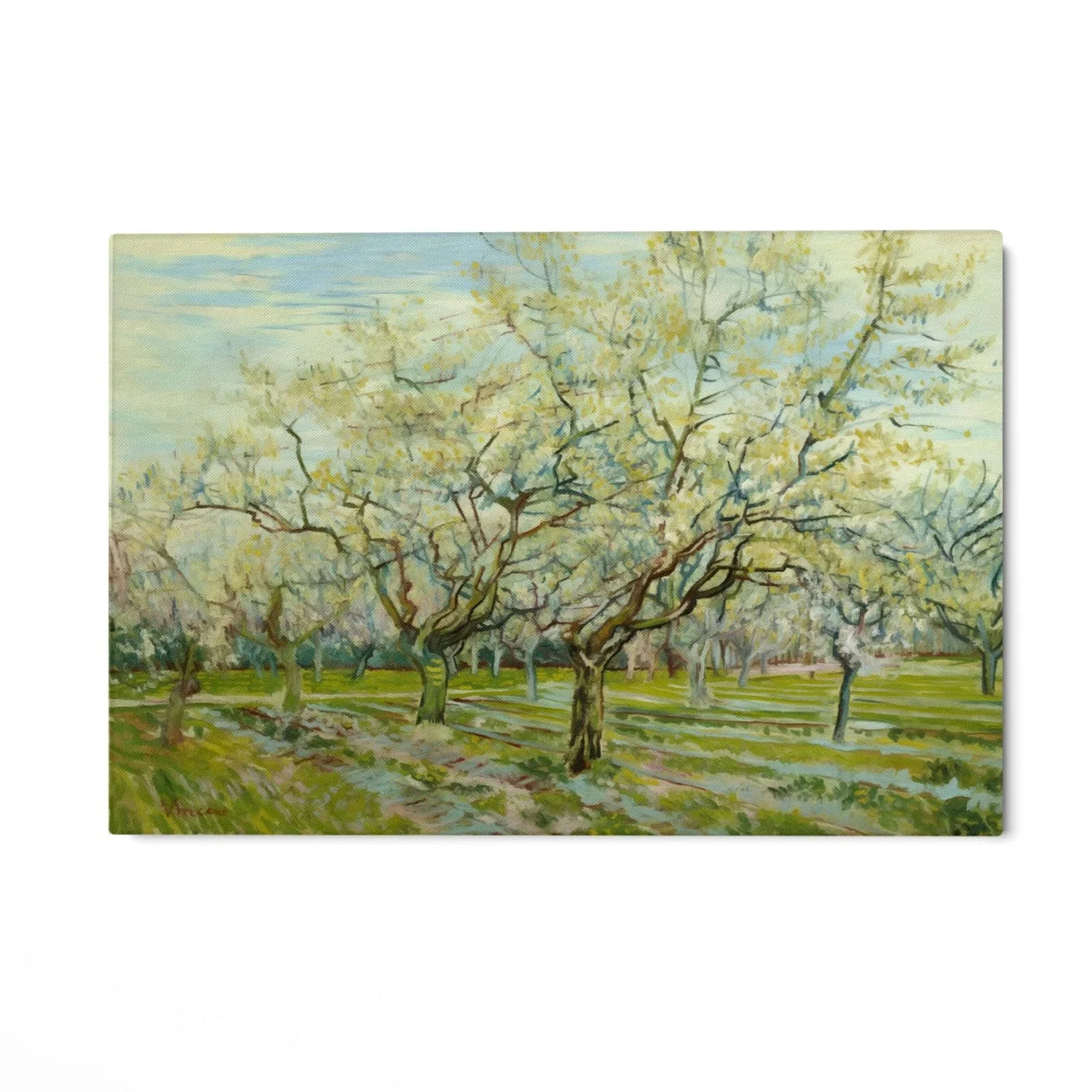 Quadro Stampa su Tela The White Orchard 1888, Vincent Van Gogh - CupidoDesign