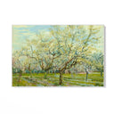 Quadro Stampa su Tela The White Orchard 1888, Vincent Van Gogh - CupidoDesign