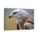 Quadro Stampa su Tela Trame Celesti - CupidoDesign