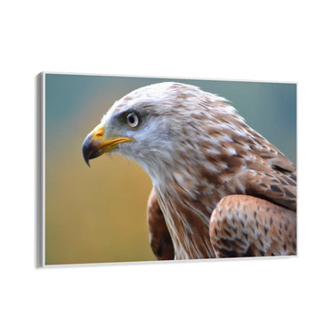 Quadro Stampa su Tela Trame Celesti - CupidoDesign