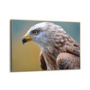 Quadro Stampa su Tela Trame Celesti - CupidoDesign