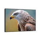 Quadro Stampa su Tela Trame Celesti - CupidoDesign