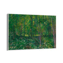 Quadro Stampa su Tela Trees and Undergrowth, Vincent Van Gogh - CupidoDesign