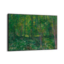 Quadro Stampa su Tela Trees and Undergrowth, Vincent Van Gogh - CupidoDesign