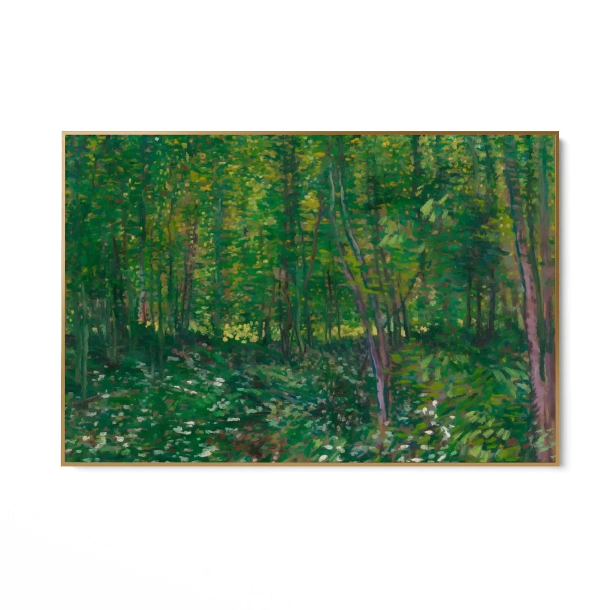 Quadro Stampa su Tela Trees and Undergrowth, Vincent Van Gogh - CupidoDesign