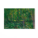 Quadro Stampa su Tela Trees and Undergrowth, Vincent Van Gogh - CupidoDesign