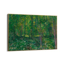 Quadro Stampa su Tela Trees and Undergrowth, Vincent Van Gogh - CupidoDesign