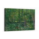 Quadro Stampa su Tela Trees and Undergrowth, Vincent Van Gogh - CupidoDesign