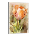 Quadro Stampa su Tela Tulipano Acquarello - CupidoDesign