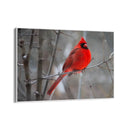 Quadro Stampa su Tela Tundra Nevosa - CupidoDesign