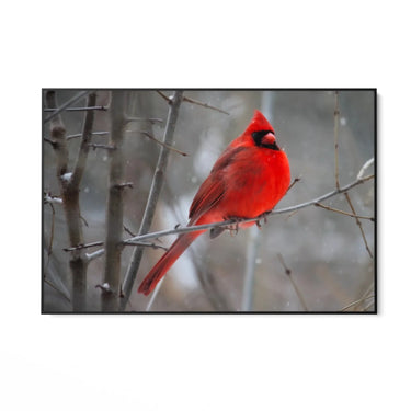 Quadro Stampa su Tela Tundra Nevosa - CupidoDesign