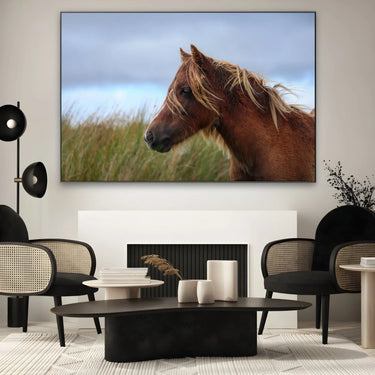 Quadro Stampa su Tela Vento nei Crini - CupidoDesign