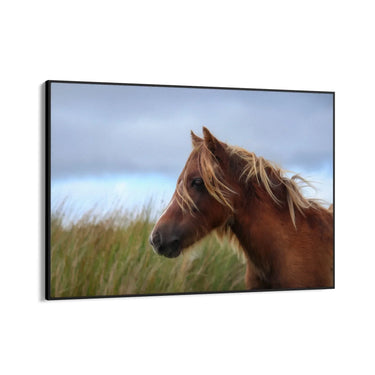 Quadro Stampa su Tela Vento nei Crini - CupidoDesign