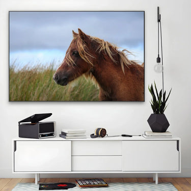 Quadro Stampa su Tela Vento nei Crini - CupidoDesign