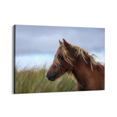 Quadro Stampa su Tela Vento nei Crini - CupidoDesign