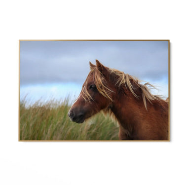 Quadro Stampa su Tela Vento nei Crini - CupidoDesign