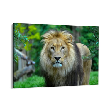 Quadro Stampa su Tela Visioni del Regno - CupidoDesign