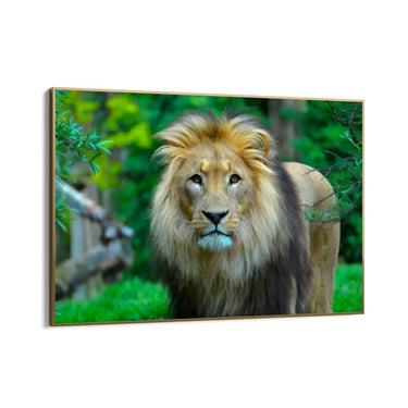 Quadro Stampa su Tela Visioni del Regno - CupidoDesign