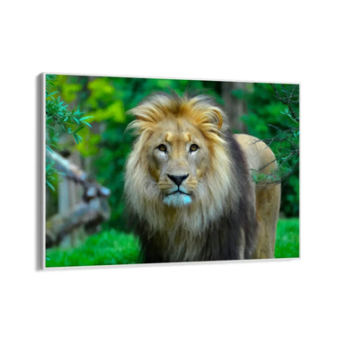 Quadro Stampa su Tela Visioni del Regno - CupidoDesign