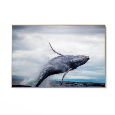 Quadro Stampa su Tela Volo Marino - CupidoDesign