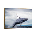 Quadro Stampa su Tela Volo Marino - CupidoDesign