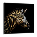 Quadro Stampa su Tela Zebra Dorata - CupidoDesign