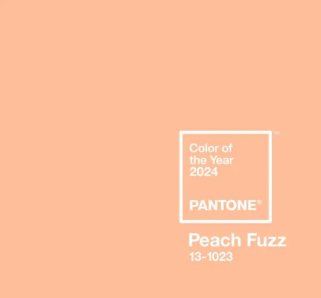 Scopri i Quadri su Tela in Tonalità Peach Fuzz: Colore Pantone dell'Anno 2024 - CupidoDesign