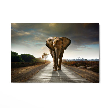 Quadro Stampa su Tela Cammino Solenne - CupidoDesign