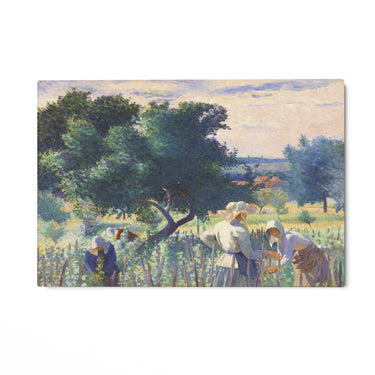 Quadro Stampa su Tela Donne che legano la vite, Henri Edmond Cross - CupidoDesign