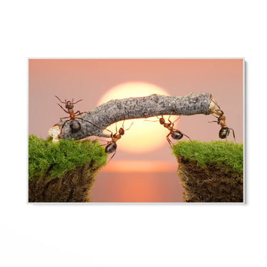 Quadro Stampa su Tela Forza Collettiva - CupidoDesign