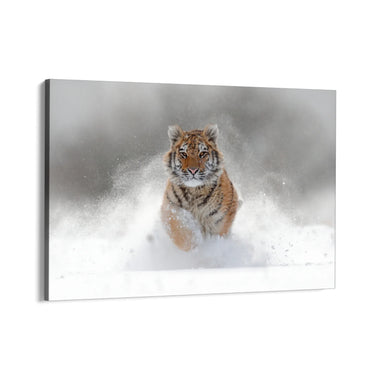 Quadro Stampa su Tela Furia bianca - CupidoDesign