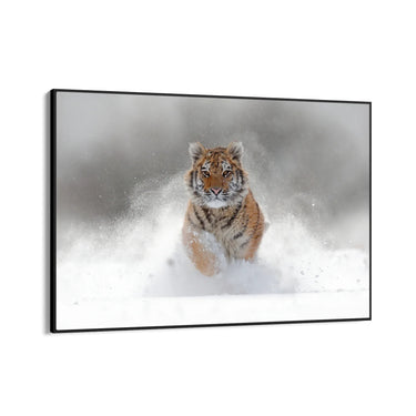 Quadro Stampa su Tela Furia bianca - CupidoDesign